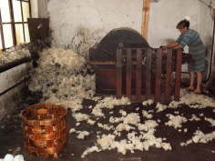 Süvahavva wool mill, processing wool