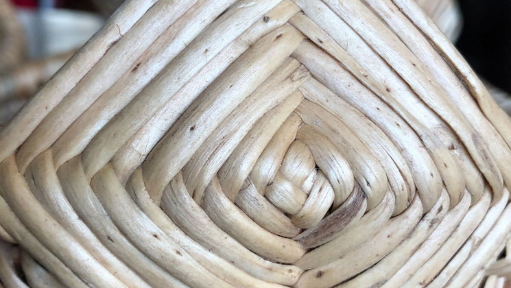 Root Basket Weaving